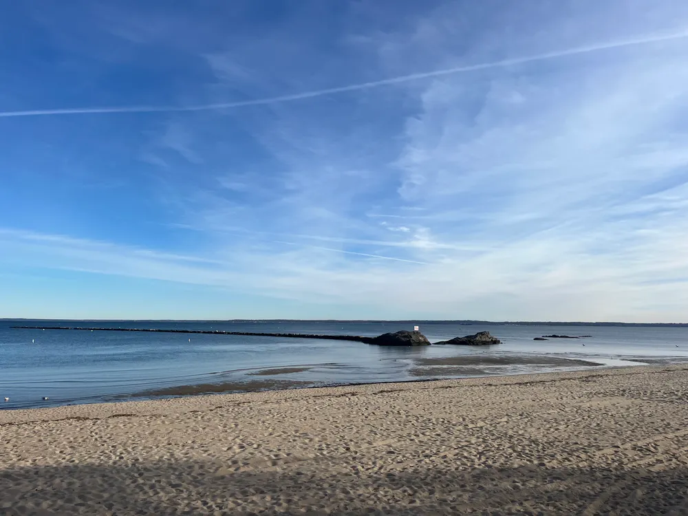 new-york-beaching.jpeg